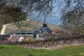 Vue sur l'église Cramant du point de vue de Cramant