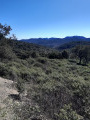 Vue sur l'Esterel