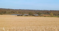 Vue sur l'étang de Falenzé.