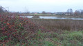 Vue sur l'étang Gouttes Boullées