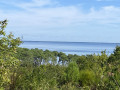 Entre Océan et Lac de Cazaux-Sanguinet