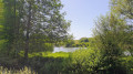 Vue sur l'&eacute;tang