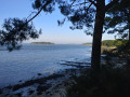 De Brillac à la Pointe du Logéo