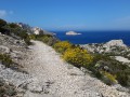 Le Sommet de Marseilleveyre par le Vallon de la Mounine