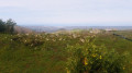 Vue sur l'océan depuis le sommet Vue sur l'océan depuis le sommet