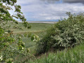 Vue sur la baie