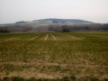 Vue sur la butte de Montholon