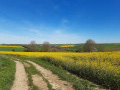vue sur la campagne du pays de bray