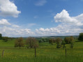 Vue sur la campagne et Diemeringen au loin