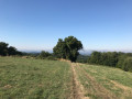 Vue sur la campagne