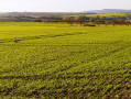 Vue sur la campagne