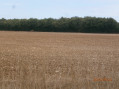 Vue sur la campagne