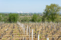 Vue sur la centrale