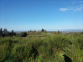 Vue sur la chaine des puys
