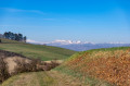 Vue sur la chaine du Sancy.