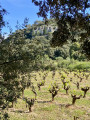 Vue sur la chapelle ermitage de la ste Baume