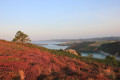 Vue sur la côte après la pointe du Guern