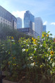 Vue sur la Défense depuis le métro Esplanade de la Défense Vue sur la Défense depuis le métro Esplanade de la Défense