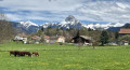 Vue sur la dent d'Oche