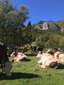 Vue sur la dent de la rancune et la crête du coq