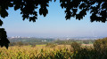 Vue sur la forêt de la Hardt depuis les hauteurs