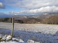 Forêt de Saou