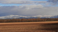 Vue sur la Forêt Noire Vue sur la Forêt Noire