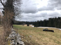 Vue sur la forêt