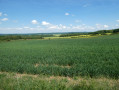 Vue sur la Forêt