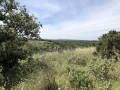 Vue sur la Garrigue