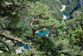 vue sur la gorge