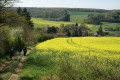Vue sur la Grande Vallée