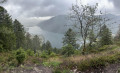 Lac de Lispach depuis le lac de Longemer