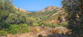 Vue sur la mer depuis la montée vers la pointe de Liscia