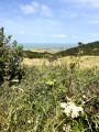 Vue sur la mer