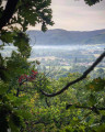 Vue sur la Montagne Noire