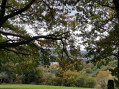 Vue sur la Moselle