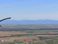vue sur la plaine d'Alsace et sur l'Allemagne