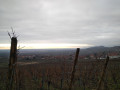 Vue sur la plaine d'Alsace
