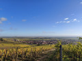 Vue sur la plaine d'Alsace
