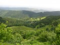 Vue sur la plaine d'Alsace