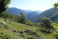 Saint-Jean du Désert depuis le Plan