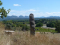 Pays de Grignan - Les truffières et les vignobles