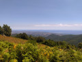 Vue sur la plaine