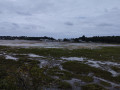 Vue sur la presqu'&icirc;le de Conleau depuis la pointe des &eacute;migr&eacute;s