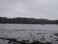 Vue sur la rivi&egrave;re d'Auray