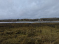 Rivi&egrave;re du Bono