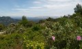 Vue sur la Sainte Victoire