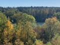 Boucle dans le Sud de la Forêt de Rougeau