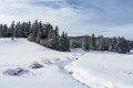 Vue sur la tourbière